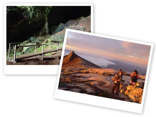 About Borneo Travel Network