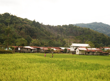 3D2N Bario Highlands