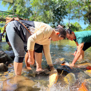 Kinabalu Park + Poring Hot Spring