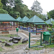 Kinabalu Park + Poring with Desa Farm