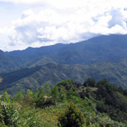 Kinabalu Park + Poring with Desa Farm