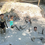 Pulau Tiga (Survivor Island)