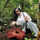 Tambunan Rafflesia Centre
