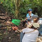 Tambunan Rafflesia Centre