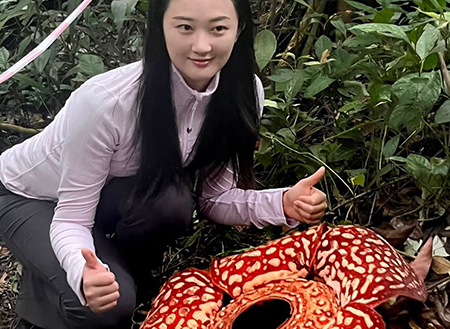 Tambunan Rafflesia Centre