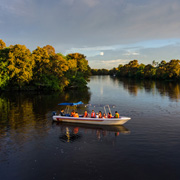 Mari Mari Cultural Village + Mangrove Cruise & Fireflies