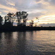 Klias Mangrove & Fireflies