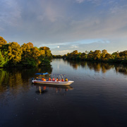 Klias Mangrove & Fireflies