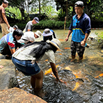 3D2N Kundasang + Kinabalu Park Heritage