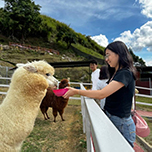 3D2N Kundasang + Kinabalu Park Heritage