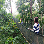 3D2N Kundasang + Kinabalu Park Heritage