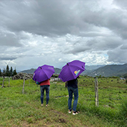 4D3N Kota Kinabalu + Kinabalu Park Heritage + Cultural Village + Mangroves Cruise & Fireflies ( 1 Night stay at Kundasang )