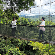 4D3N Kota Kinabalu + Kinabalu Park Heritage + Cultural Village + Mangroves Cruise & Fireflies ( 1 Night stay at Kundasang )