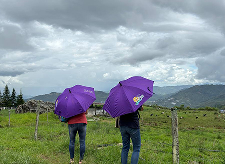 4D3N Kota Kinabalu + Kinabalu Park Heritage + Cultural Village + Mangroves Cruise & Fireflies ( 1 Night stay at Kundasang )