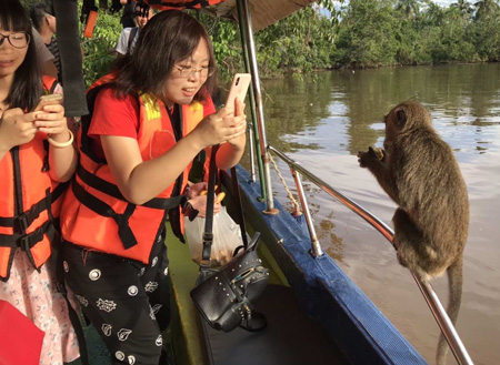 Bongawan Mangrove Cruise + Sky Mirror + Fireflies