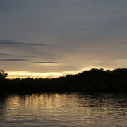 Kota Kinabalu City Tours + Mangrove And Fireflies Cruise