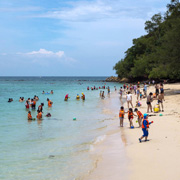 Twin Island (Sapi Island + Manukan Island) + Mangrove Cruise & Fireflies