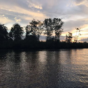 Twin Island (Sapi Island + Manukan Island) + Mangrove Cruise & Fireflies