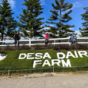 Ranau Paragliding & Desa Farm