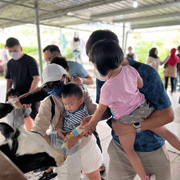 Ranau Paragliding & Desa Farm