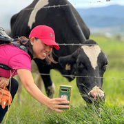 Upside Down House + 3D Museum + Kinabalu Park + Desa Farm
