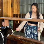 Kundasang ATV + Desa Cow Farm