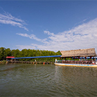 BINSULUK RIVER CRUISE (Probasics Monkey & Fireflies)