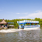 BINSULUK RIVER CRUISE (Probasics Monkey & Fireflies)