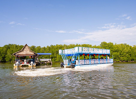 BINSULUK RIVER CRUISE (Probasics Monkey & Fireflies)