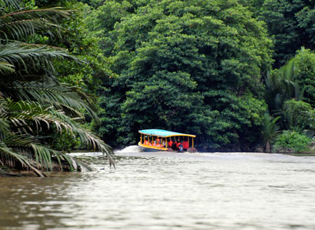 4D3N Brunei + Seria Oilfield