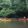 Semadang River Kayaking 