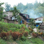 2D1N Traditional Iban Longhouse Safari
