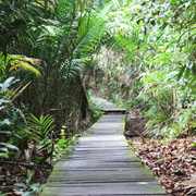 3D2N Bako National Park - Natural Trekking