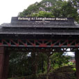 4D3N Kuching City + Semenggoh Orang Utan + Longhouse Safari