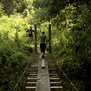 2D1N Tabin Wildlife Safari