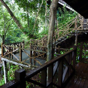 2D1N Tabin Wildlife Safari