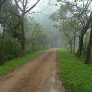 3D2N Tabin Wildlife Safari