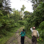 4D3N Birding at Tabin Package