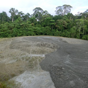 4D3N Overnight at Tabin Mud Volcano