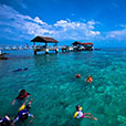 Payar Island Snorkeling – Platform Package