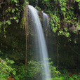 Lambir Hills National Park