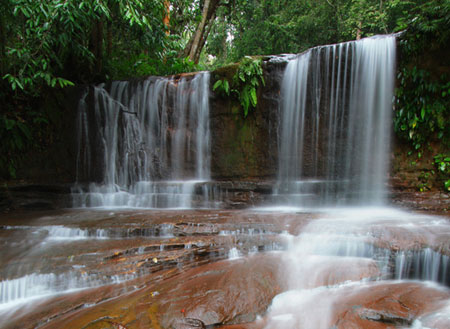 Lambir Hills National Park