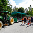 Borneo Tropical Rainforest Resort Tours