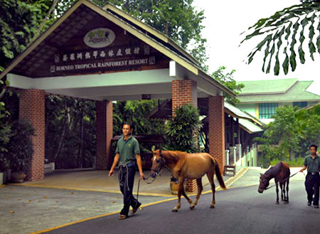 Borneo Tropical Rainforest Resort Tours