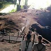 Niah National Park - Niah Cave Tours