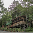 2D1N Borneo Tropical Rainforest Resort Tours