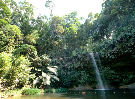 3D2N Miri City + Lambir Hill + Iban Longhouse