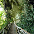 4D3N Miri City + Niah Caves + Mulu Caves      