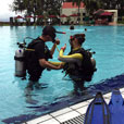 PADI Discover Scuba Dive (DSD) (FOR NON-CERT DIVER)