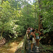 8 Hours Niah National Park Private Charter